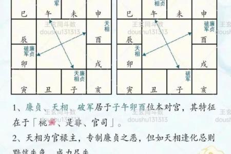 紫薇斗数看男方家境