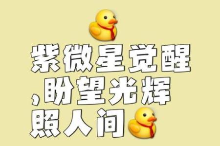 紫薇星降临