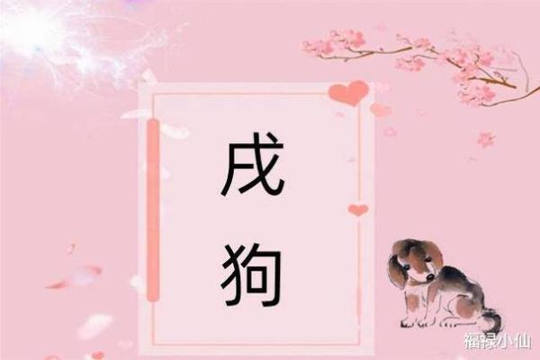 属狗正缘出现在哪年 属狗人婚姻配对表