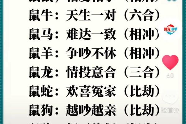 生肖配对：属鼠的和什么属相最配