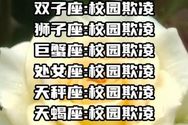 12星座谁是校草