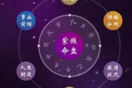 问真紫薇斗数