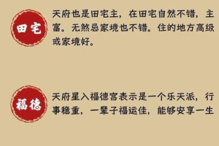 紫薇斗数桃花宫