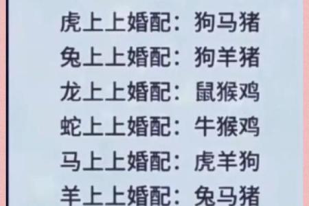 12生肖婚姻最佳配对 12生肖婚姻最佳配对表大全