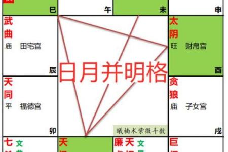 紫薇斗数富贵格格