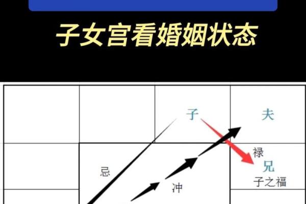 紫薇斗数手机排版