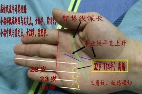 女人的事业线止于感情线命运如何风水