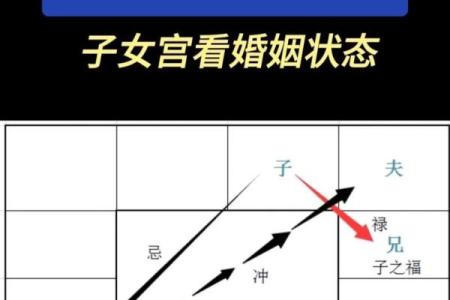 紫薇斗数手机排版