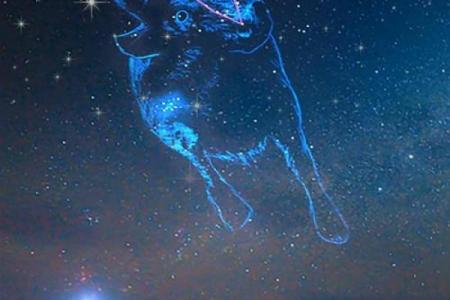 世界上有哪些不严谨的星座呢