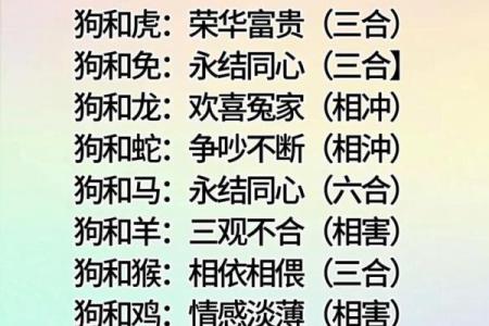 属相婚配十二生肖配对图表，属相婚配十二生肖配对图表图片？