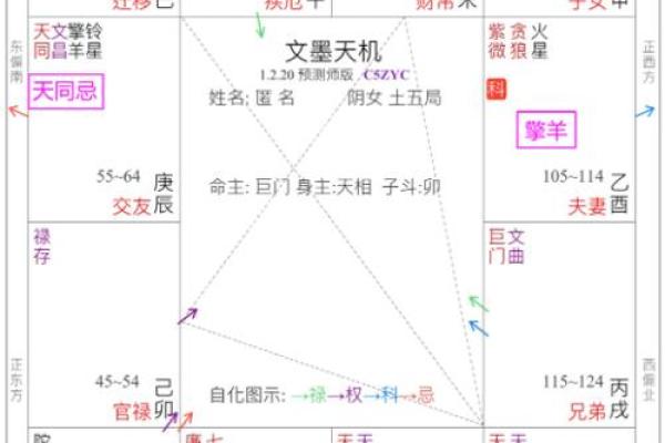 双人紫薇斗数在线合盘