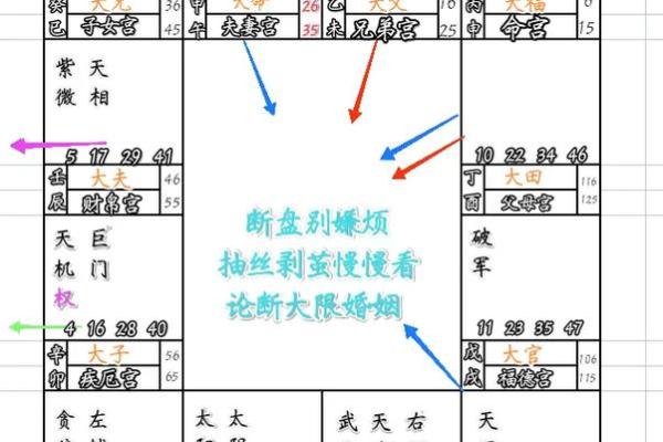 莫西老师紫薇斗数