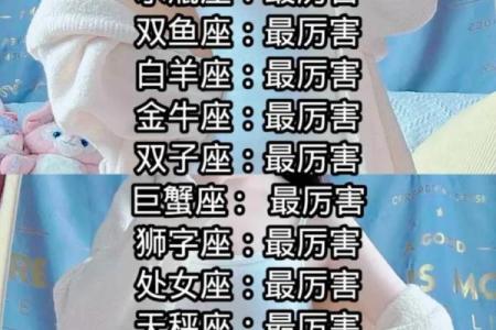 十二星座哪个星座适合当你男朋友