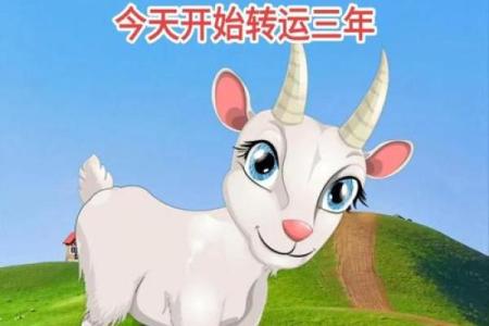 属羊出生吉日 几点出生最好