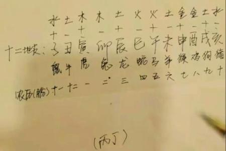 周易中属什么生肖？解析周易生肖配对