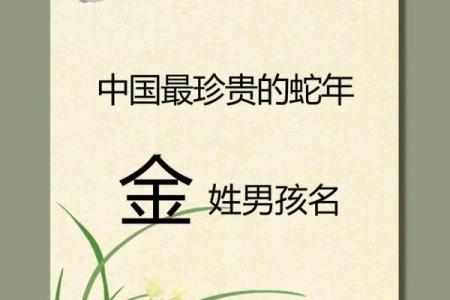 2019年5月19号丑时出生的男孩起名时要注意什么姓名