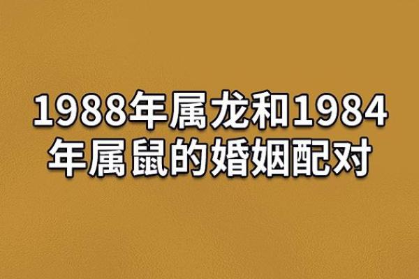 属鼠正缘出现在哪年 属鼠人婚姻配对表
