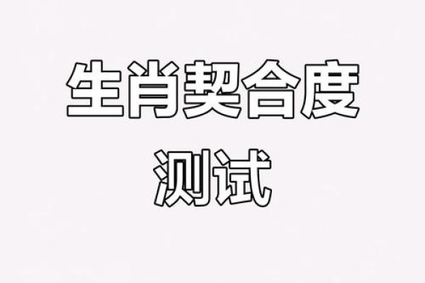 兔跟什么生肖配对最好 生肖兔最佳配对