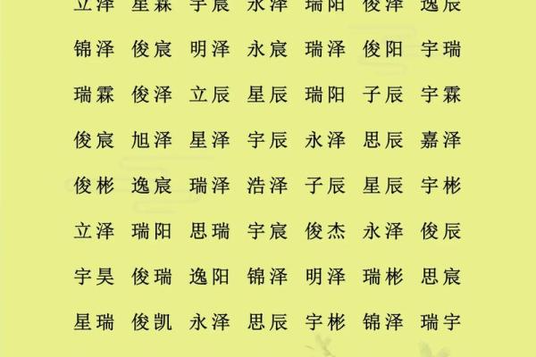 属猪巳时出生的男孩如何取名字，适合用什么字姓名
