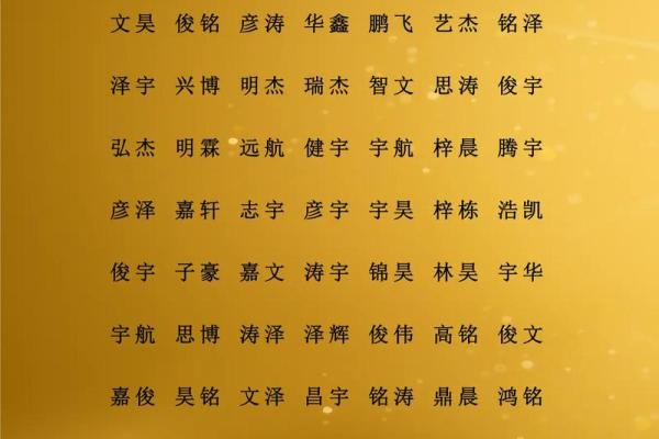 属猪巳时出生的男孩如何取名字，适合用什么字姓名