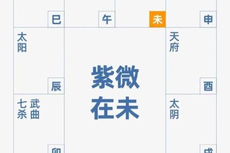 南京紫薇斗数