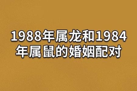 属鼠正缘出现在哪年 属鼠人婚姻配对表