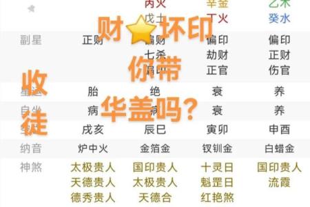 八字日支偏印