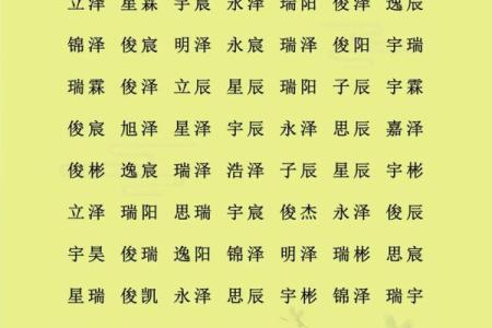 属猪巳时出生的男孩如何取名字，适合用什么字姓名