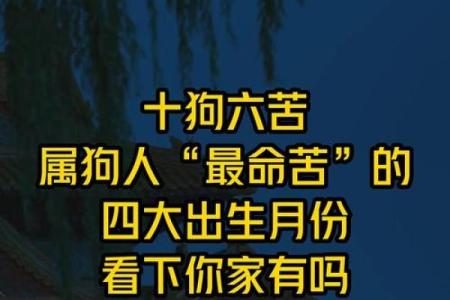 属狗出生最好六个吉日,属狗什么日子出生最好
