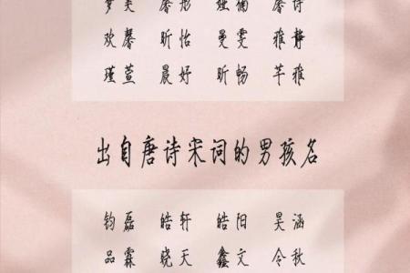 2019年5月9号丑时出生的男孩起名时要注意什么姓名