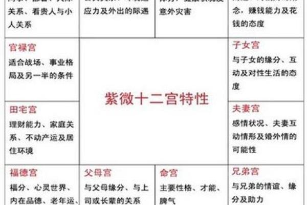 紫薇星入事业宫详解