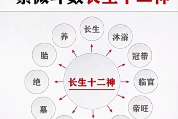 紫薇斗数看你的住宅
