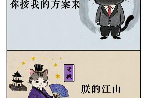 欢迎补充#紫薇斗数
