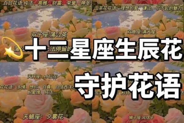 4月26日是什么星座