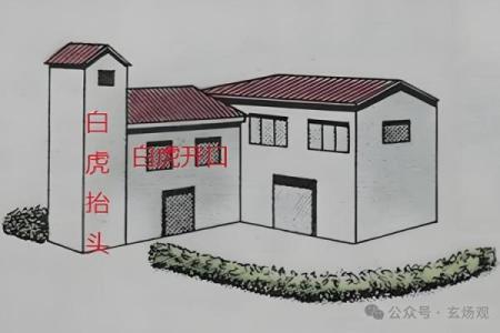 白虎方位置，白虎位是哪个方位？