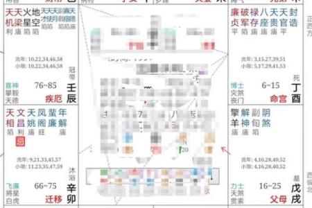 紫薇斗数基本运