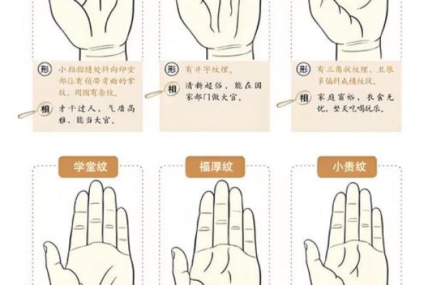 指纹算命图谱