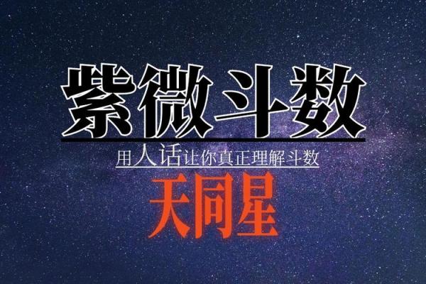 紫微斗数案例25健康：抑郁的命盘啥样？你在什么时间渡劫？
