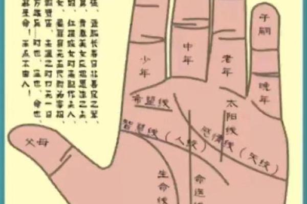 手指形状算命