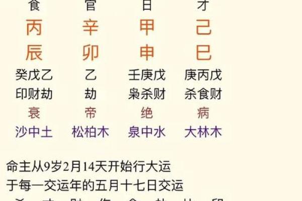 上海算命八字