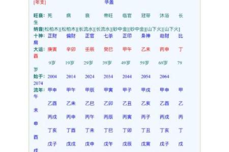 八字辛巳是浪子命格吗
