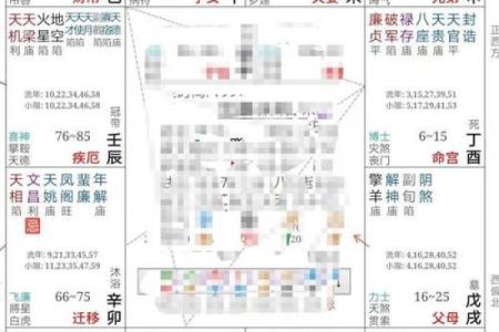 紫微斗数案例25健康：抑郁的命盘啥样？你在什么时间渡劫？