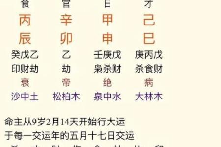 上海算命八字
