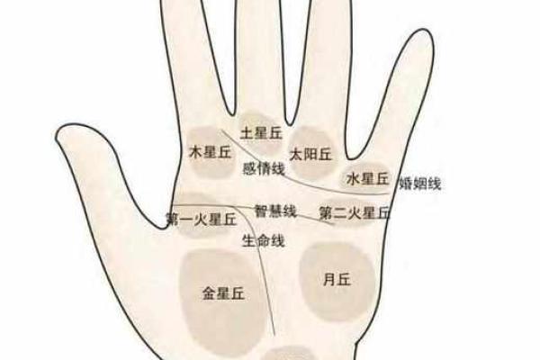 详细分析：手掌中的指纹预测算命，快来算算你的运势如何！