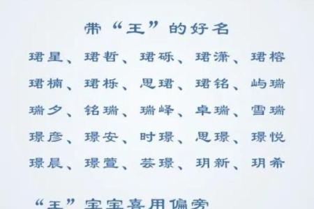 属龙亥时出生的男孩起什么名，应该用什么字姓名