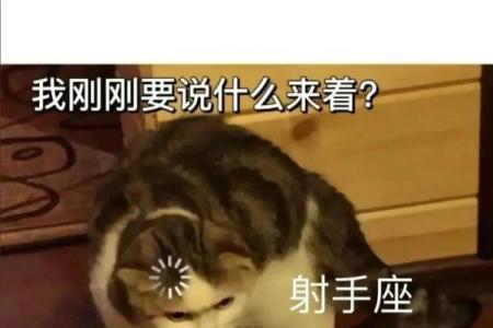 哪些星座最容易健忘？