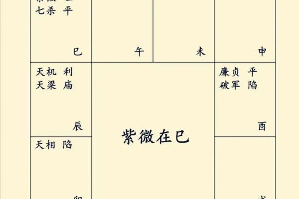 紫薇斗数寿命的星星