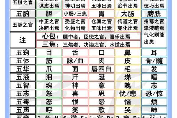 五行属性算命