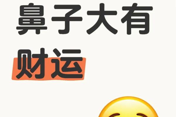 连财神爷都爱你！这四种鼻型「赚大钱没问题」