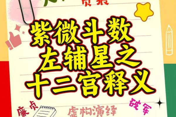 紫薇斗数台辅